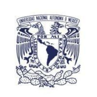 unam-logo